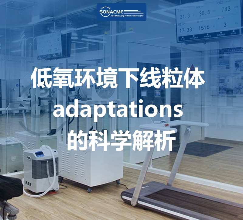 探索人体潜能：低氧环境下线粒体 adaptations 的科学解析 | 昊极科技
